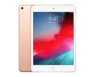 Apple iPad mini 64GB LTE Gold - 486989 - zdjęcie 1